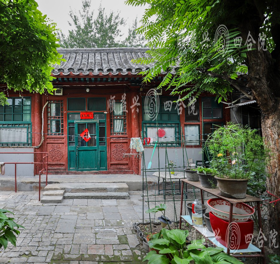 庭院