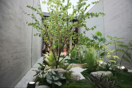 東城區(qū)新增4處 “互聯(lián)網(wǎng)+全民義務(wù)植樹”基地